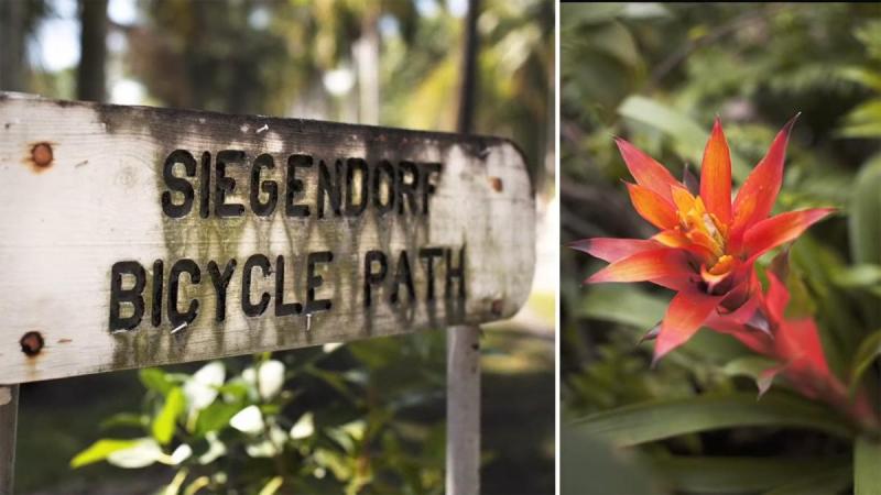 Coconut-Grove-Bicicle-Path