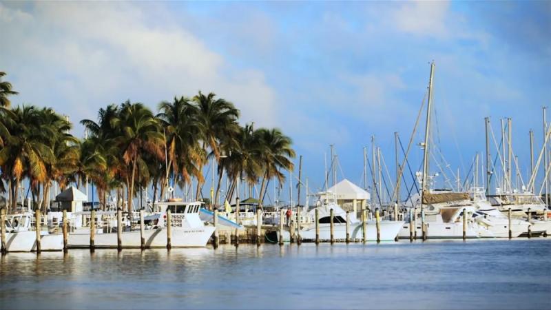 Coconut-Grove-Boats